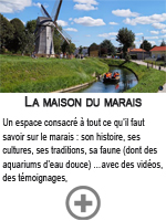 Maison du marais