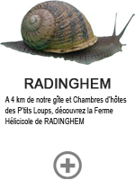 Radinghem